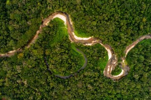 Idesam lance un défi mondial en matière de R&amp;D pour transformer la biodiversité de l'Amazonie en entreprises à impact.