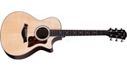 Taylor Guitars Next Generation 312ce