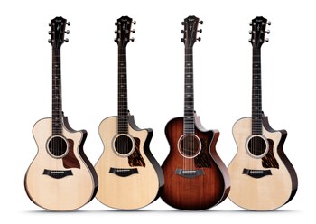 Taylor Guitars Next Generation Grand Concert Models