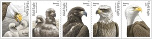 Bald Eagle Stamps Take Flight