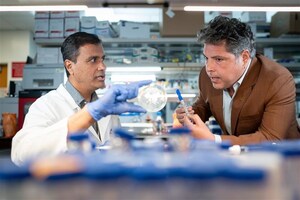 Hidden small RNA determines if cholera bacterium can infect humans