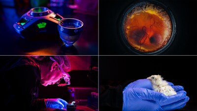 [L-R Colossal Artificial Egg Device; Healthy embryo; Hatched chick from device; first chick close up –  Credit: Colossal Biosciences]