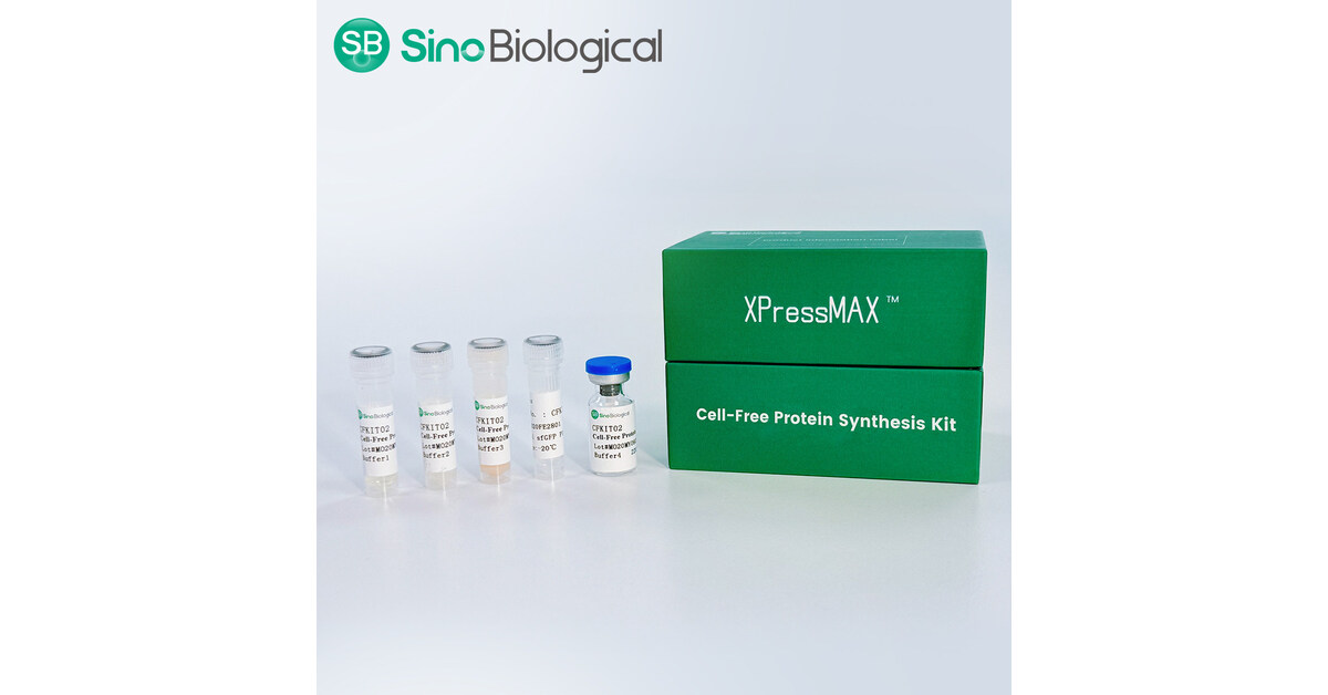 Sino Biological lance le kit de synth&egrave;se de prot&eacute;ines sans cellule XPressMAX&trade;, acc&eacute;l&eacute;rant la d&eacute;couverte de m&eacute;dicaments &agrave; base danticorps &agrave; haut d&eacute;bit aliment&eacute;e par lIA.