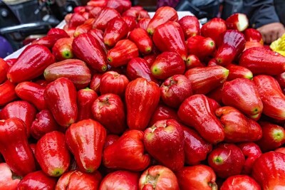 Fresh from Qionghai, Hainan — these juicy wax apples are bursting with tropical sweetness and island sunshine. Fresh from Qionghai, Hainan — these juicy wax apples are bursting with tropical sweetness and island sunshine.
