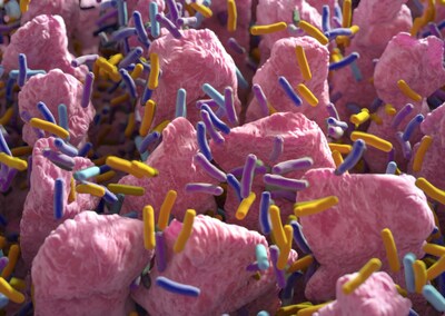 Le Purina initie la conversation sur l'innovation du microbiome en médecine vétérinaire