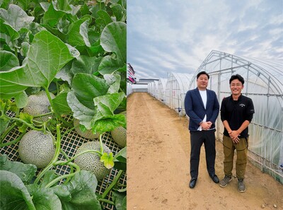 (From Left) This month, Green Gorilla showcases the King Kong Melon, also called the Green Gorilla Melon, from Ibaraki Melons; Mitsuharu and a Green Gorilla farming partner. (From Left) This month, Green Gorilla showcases the King Kong Melon, also called the Green Gorilla Melon, from Ibaraki Melons; Mitsuharu and a Green Gorilla farming partner.