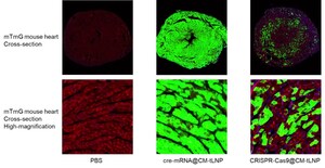 METiS TechBio to Present Late-Breaking Data on Near-Complete Cardiomyocyte Delivery at CRS 2026