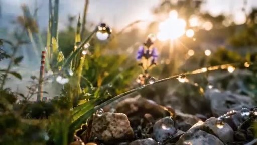 Shanghai Electric Marks International Day for Biological Diversity with Localized Green Practices