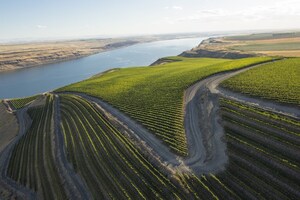 Washington Wine Industry Leaders Form "One Voice Council" to Revolutionize National On-Premise Representation