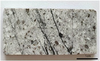 Image 1. TADD-278, at 743.5 meters: Dacitic porphyry with intense phyllic alteration. (CNW Group/Orvana Minerals Corp.) Image 1. TADD-278, at 743.5 meters: Dacitic porphyry with intense phyllic alteration. (CNW Group/Orvana Minerals Corp.)