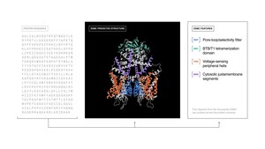 Biohub releases a world model of protein biology