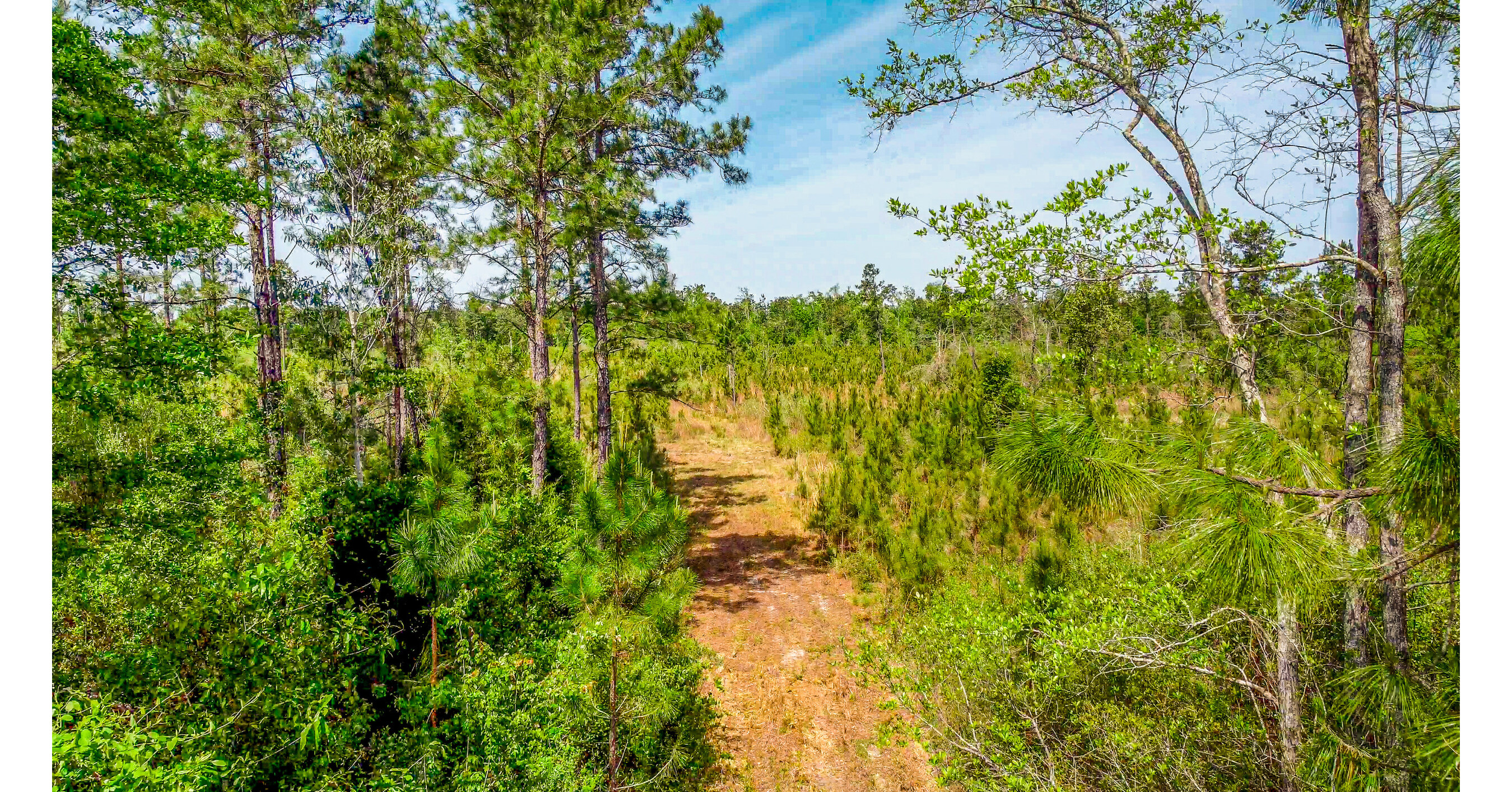 Pinebrook Ranches Debuts Unrestricted 5 to 31 Acre Florida Homesites ...