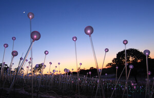 Summer at Sensorio - Seven Years of Nights That Shine