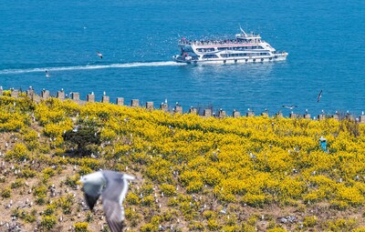 Xinhua Silk Road: 꽃의 바다와 새소리로 만나는 중국 동부 룽청의 자연 아름다움