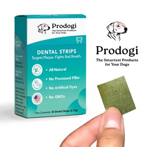 Veterinarian-Founded Startup Prodogi Launches First Oral Health Strip for Dogs with Slow Dissolve Technology