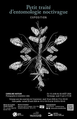 Une immersion nocturne à l'Insectarium avec l'exposition de Caroline Hayeur