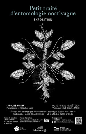 Une immersion nocturne à l'Insectarium avec l'exposition de Caroline Hayeur