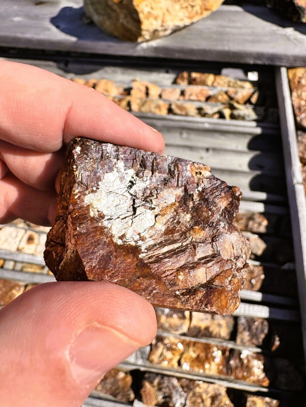 Nd‑Pr‑mineralized core sample: Nd Pr mineralized core sample from historic drilling at the Sarfartoq Project, stored at the on site camp alongside core from 161 drill holes totaling approximately 35,800 meters.