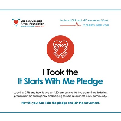 I Took the Pledge