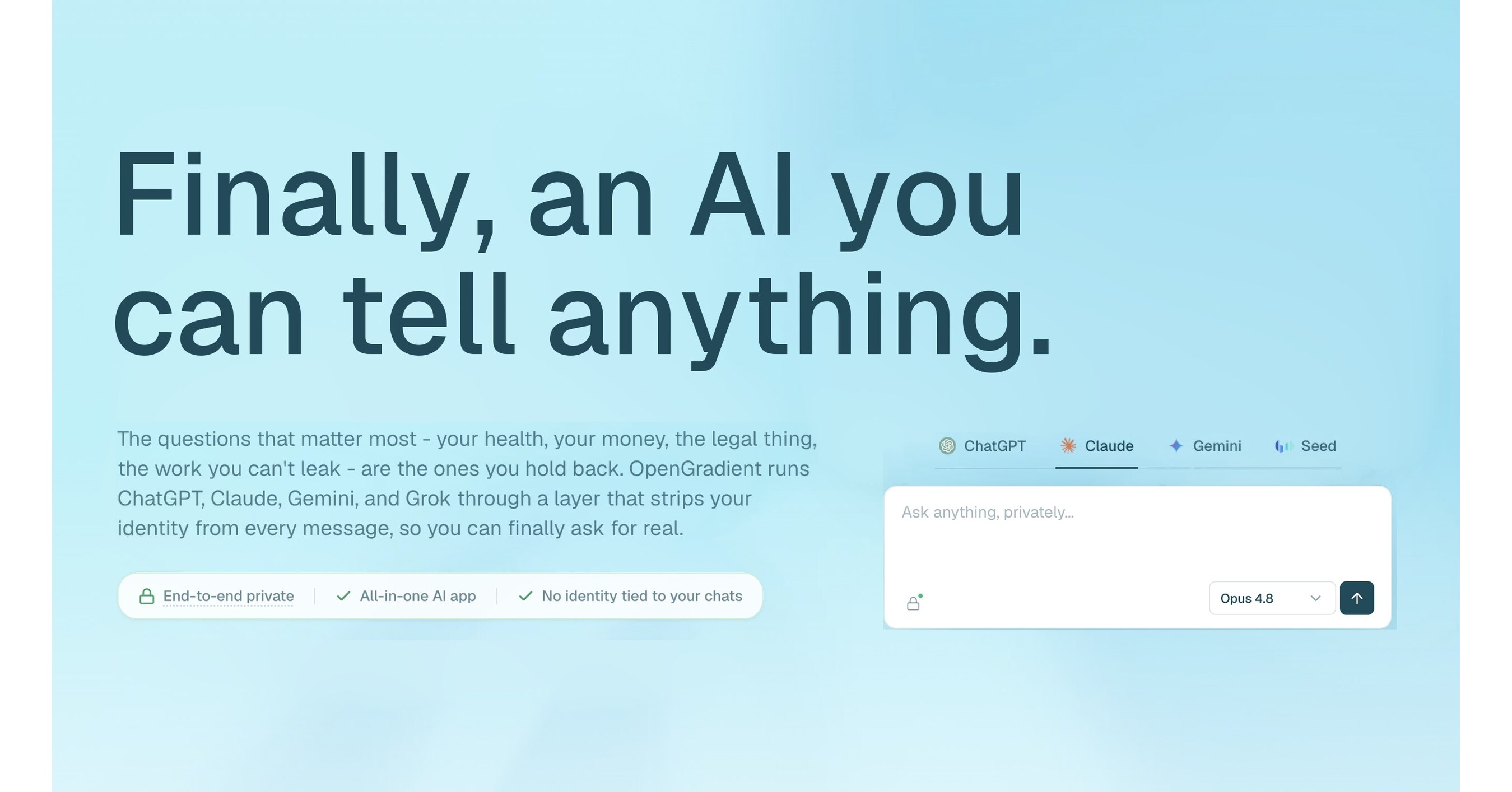 OpenGradient unveils privacy‑first multi‑model generative AI assistant