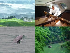 World Environment Day: Hubei, where nature thrives