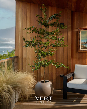 Vert House Launches Design-Forward Home Brand, Debuting Signature Shady Lady Olive Tree