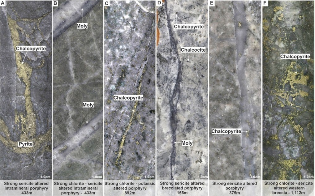 Figure 2. Representative core photographs from MD-063 (Figures 2A-C) and MD-064 (Figures 2D-F) illustrating porphyry-style mineralization, hydrothermal alteration, and vein-hosted copper and molybdenum mineralization. (CNW Group/COPPER GIANT RESOURCES CORP.) Figure 2. Representative core photographs from MD-063 (Figures 2A-C) and MD-064 (Figures 2D-F) illustrating porphyry-style mineralization, hydrothermal alteration, and vein-hosted copper and molybdenum mineralization. (CNW Group/COPPER GIANT RESOURCES CORP.)