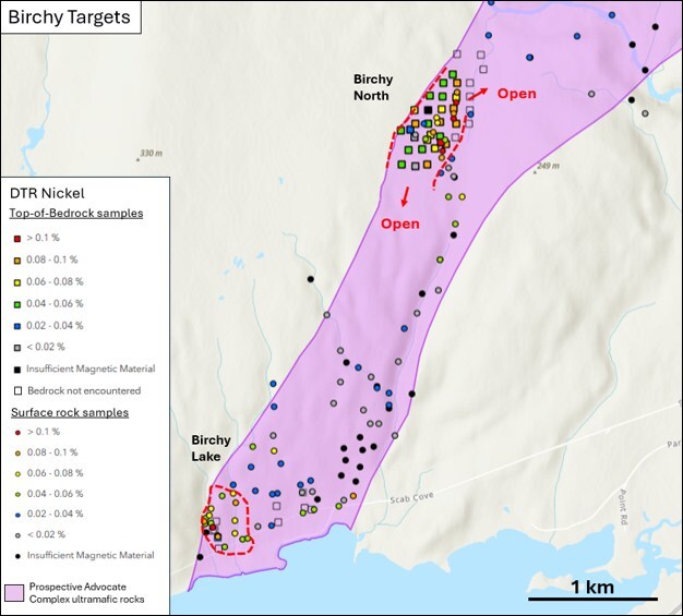 Figure 2 – DTR nickel results at the Birchy Lake and Birchy North targets (CNW Group/FPX Nickel Corp.)