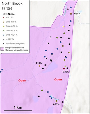 Figure 4 – DTR nickel results from the North Brook target (CNW Group/FPX Nickel Corp.)