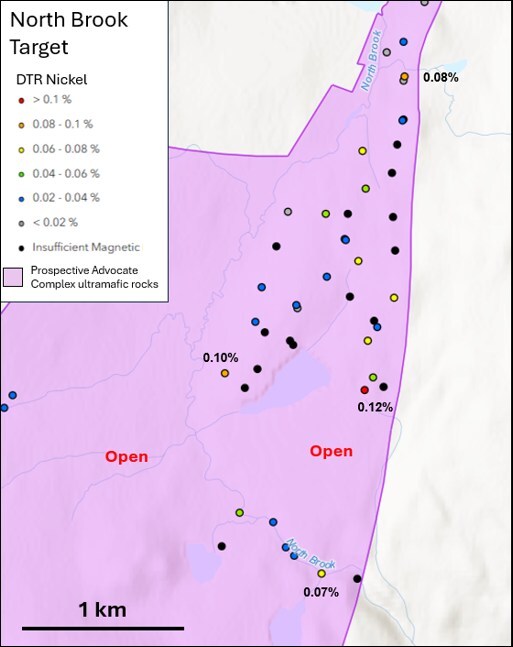 Figure 4 – DTR nickel results from the North Brook target (CNW Group/FPX Nickel Corp.)