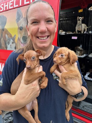 More than 150 animals graduate from Animal Rescue Corps Rescue Center