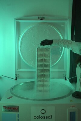 Colossal BioVault located at HQ in Dallas, TX