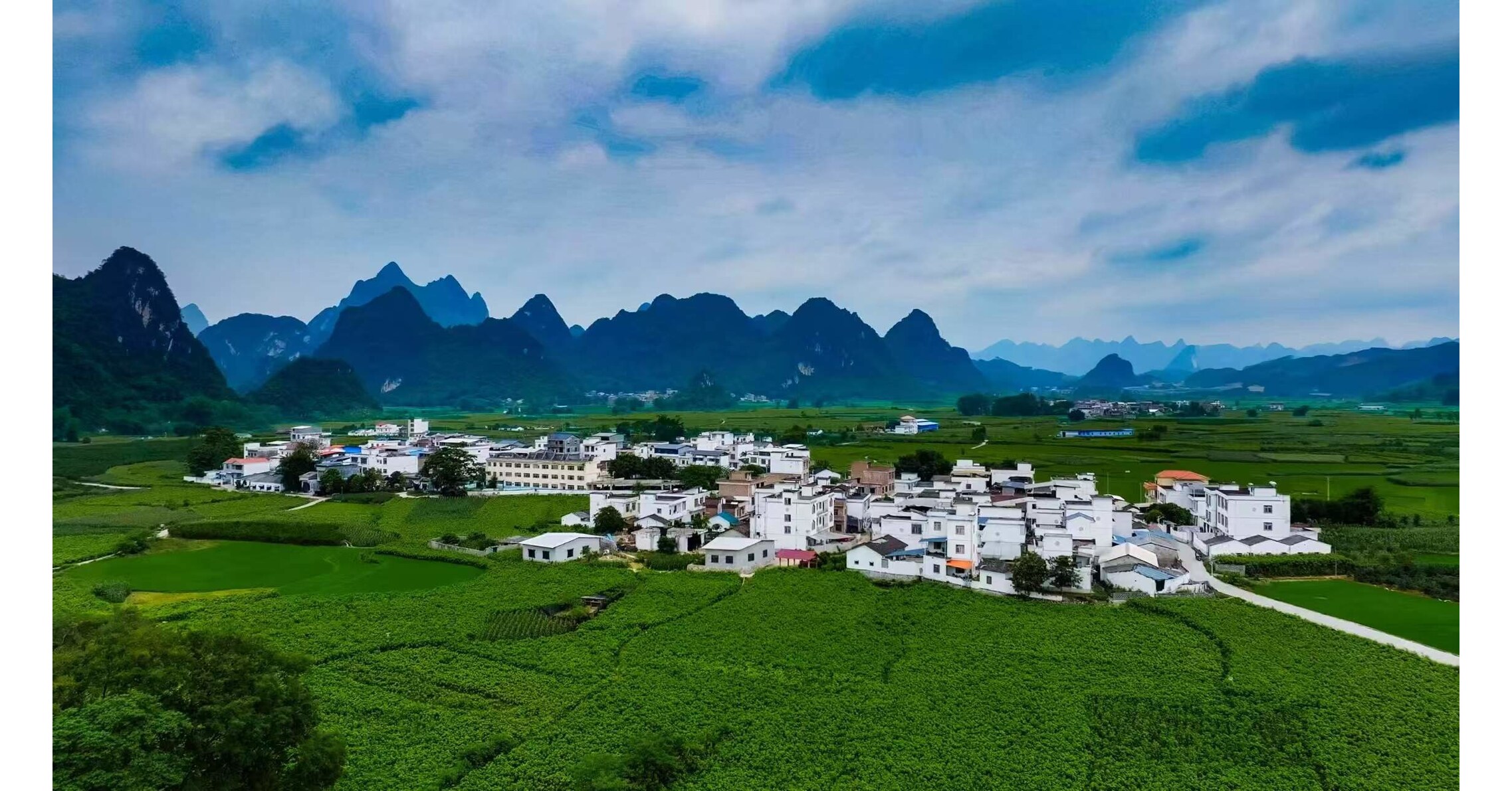 Xinhua Silk Road: Integrasi AI dalam Budidaya Sutra Murbei Jadi Jalur Baru Menuju Kesejahteraan Petani di Guangxi, Tiongkok Selatan