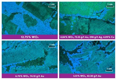 Figure 3: Core Photos Under Ultra-Violet Light Illuminating Coarse Scheelite (Tungsten) in Drill Hole APC-162 (CNW Group/Collective Mining Ltd.)