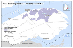 Aménagement forestier en Gaspésie-Îles-de-la-Madeleine - Consultation publique du 30 juin au 27 juillet 2026