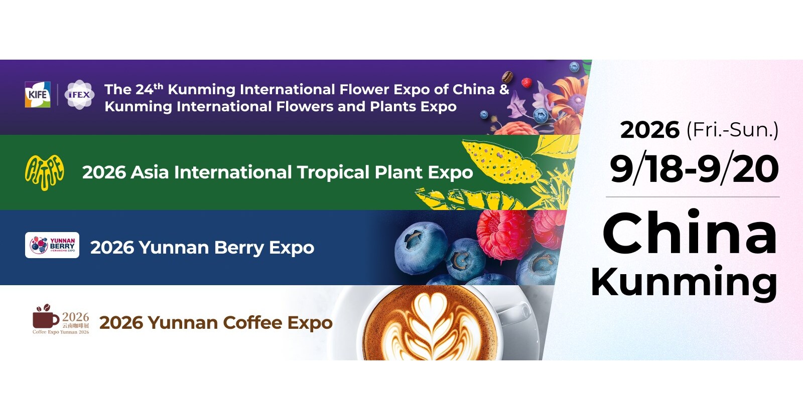 Yunnan Flower Exports Maintain Strong Growth Ahead of IFEX Kunming 2026