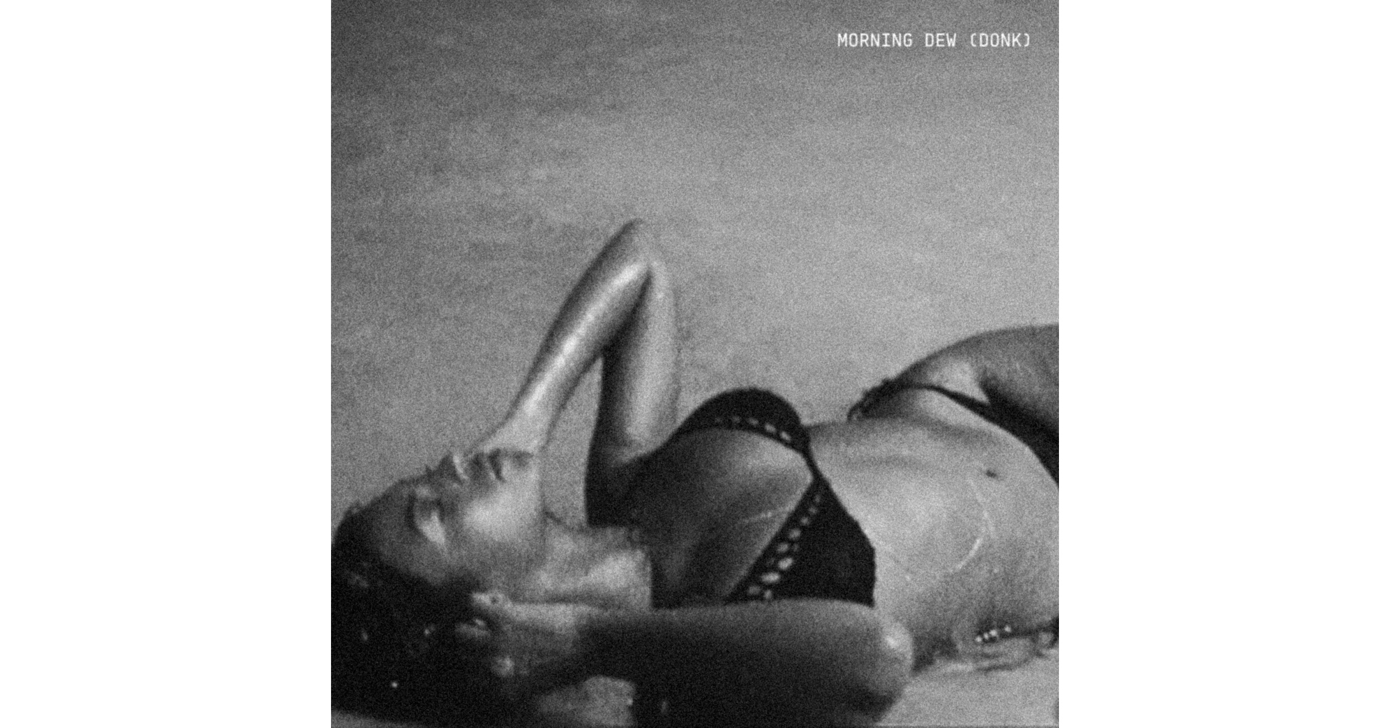 BEYONC&Eacute; VER&Ouml;FFENTLICHT NEUEN SONG &bdquo;MORNING DEW (DONK) - DER 4. JULI IST EIN WAHRES VERGN&Uuml;GEN F&Uuml;R IHRE FANS