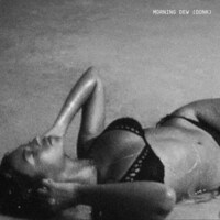 Morning_Dew_Donk_Beyonce_Album_Cover