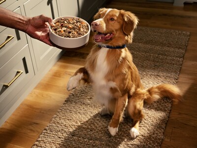 Freshpet Soulmates Survey, photographer: Tayler Smith. Freshpet Soulmates Survey, photographer: Tayler Smith.