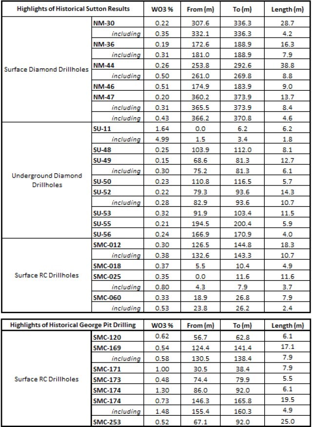 Table 1 (CNW Group/Blue Moon Metals) Table 1 (CNW Group/Blue Moon Metals)