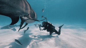Insta360 Marks Shark Awareness Day with Global Campaign to Help Protect Sharks