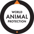 World Animal Protection appoints new Head of Global Celebrity &amp; Influencer Relations