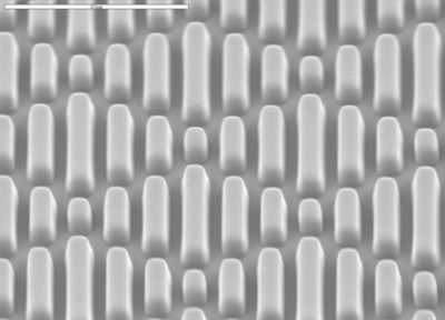 Sappi Neoterix ST Micropattern