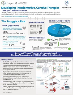 Bayer And Versant Ventures Join Forces To Launch Stem Cell Therapy ...