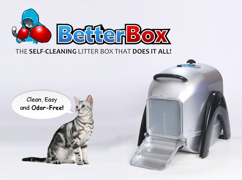 New Litter Box Invention Protects Cat Owners from a Brain Invading Parasite
