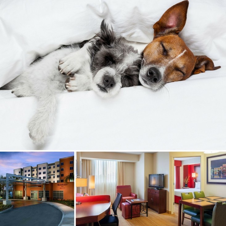 Residence Inn Miami Airport Makes Pets Feel With Special Treats