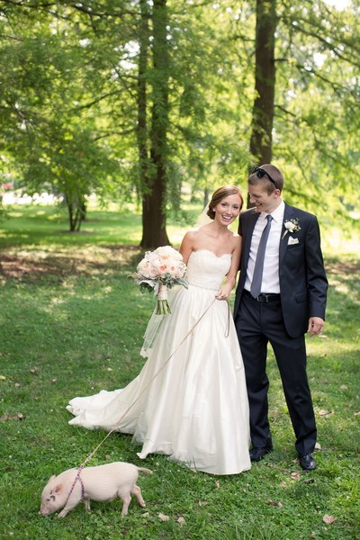 From bunnies and donkeys to llamas and pigs, couples having rustic barn weddings are incorporating farm animals into the wedding day. Photo courtesy of K.Corea Photography and The Knot.