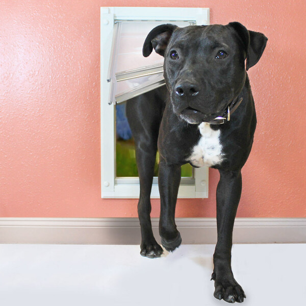 Energy efficient dog door is perfect for all pets.