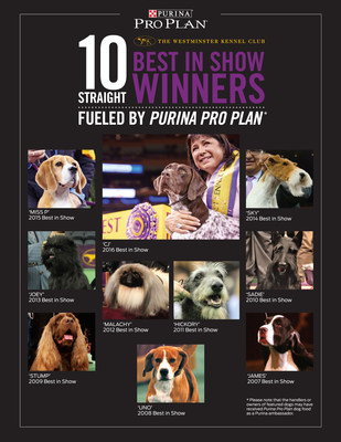 The past 10 Best in Show winners of the Westminster Kennel Club Dog Show has been fueled by Purina Pro Plan dog food.