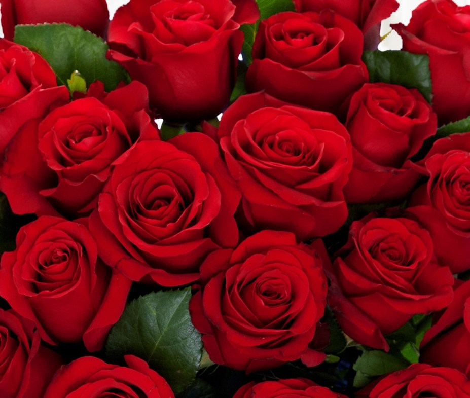 9 Valentine Gift Deliveries That Aren't Flowers - San Diego Magazine